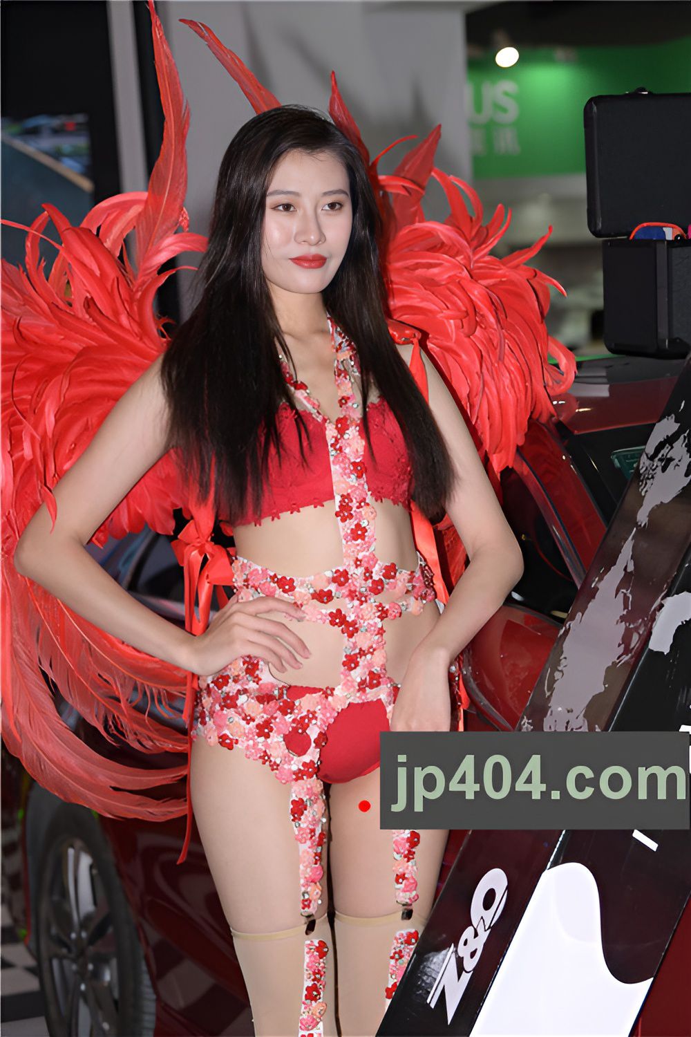 性感的内衣走秀【套图+视频】