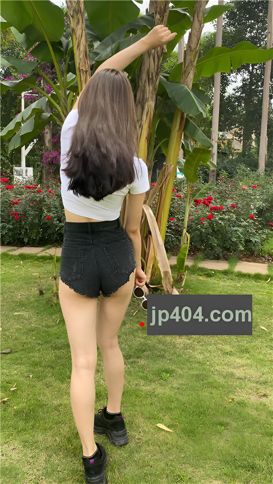 （视频）引碟 [9.15G/MP4]